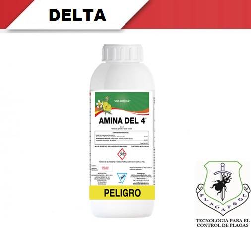 AMINA DEL 4