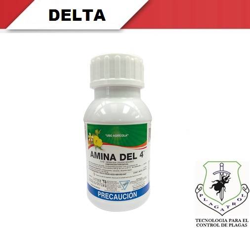 AMINA DEL 4