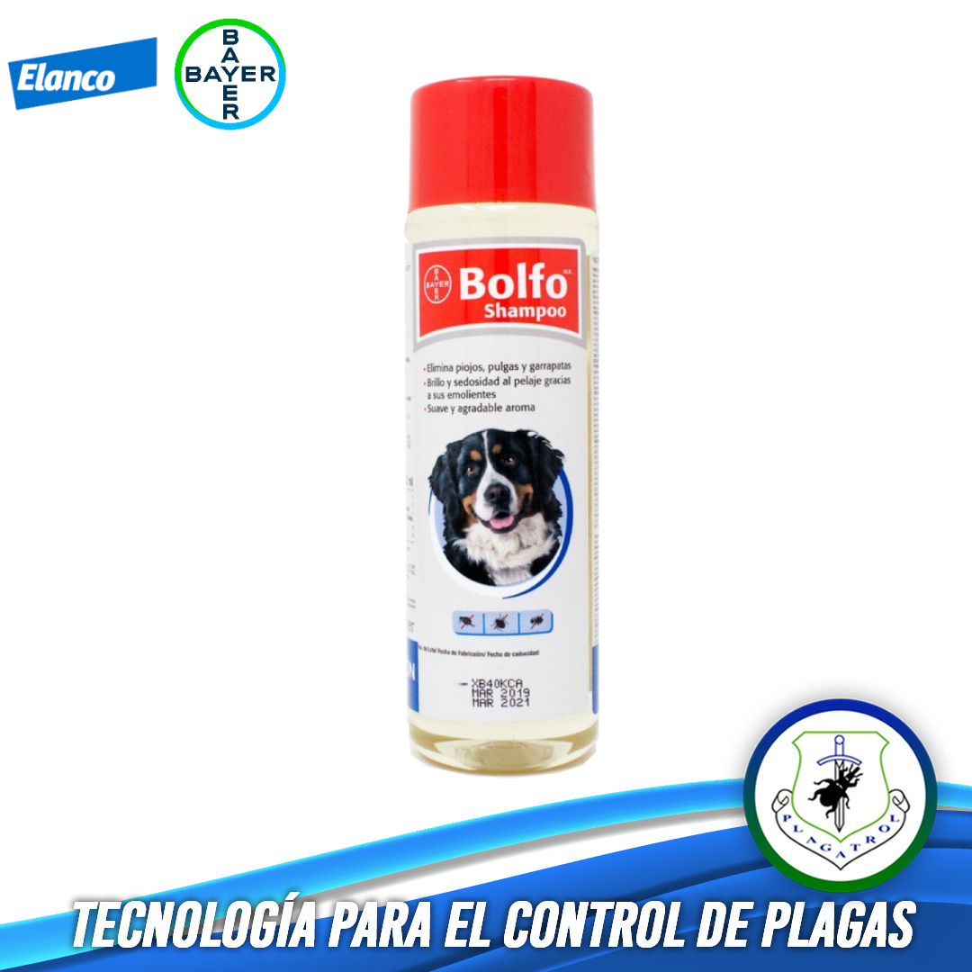 BOLFO SHAMPOO