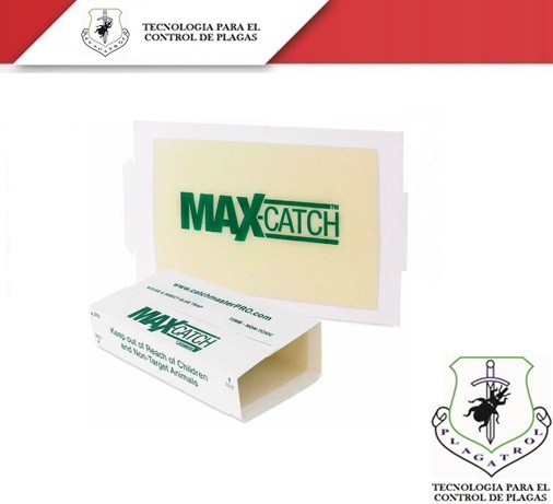 TRAMPA DE GOMA MAX-CATCH